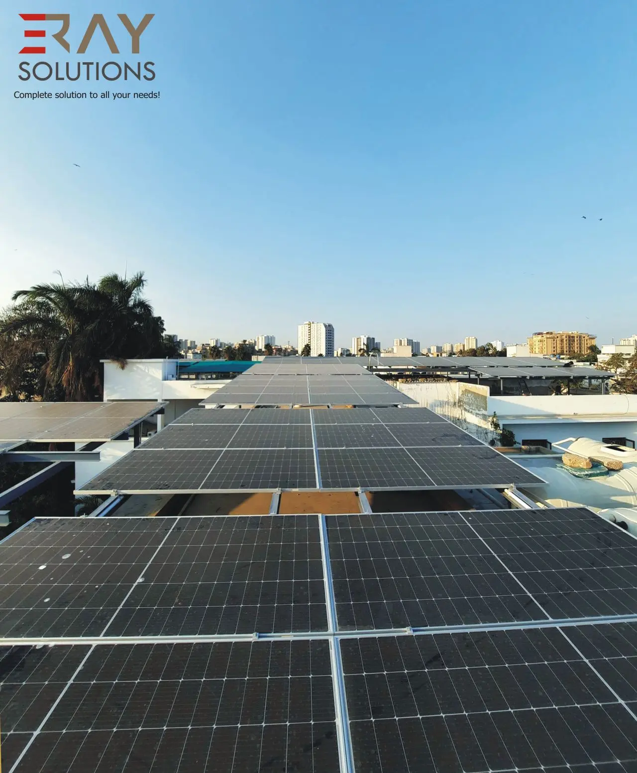 1750152676573125.webp 2.webp